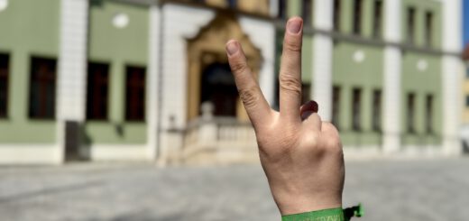 Eintrittsband Historischer Festzug 2025 Markt Wolnzach
