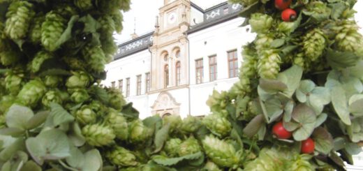 Programm Historischer Umzug 2025 Markt Wolnzach